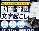動画・音声を正確に文字起こしします 大切な音声データを正確にテキスト化します イメージ1