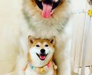 貴方が抱える悩み聞きます！アドバイスもいたします 貴方の愚痴や悩み、ぜひお聞かせください！ イメージ1