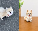 写真1枚から作れる愛犬キーホルダーを作成します 絶対後悔させません。世界に一つだけの愛犬キーホルダー イメージ6