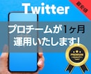 全て手動で丁寧にTwitter運用代行します プロマーケッターチームの力で安心•高成果の運用代行します イメージ1