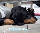 ショート動画を見やすく編集します TikTok・リール対応／テロップ・BGM込み イメージ1