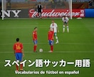 VAMOS！スペイン語のサッカー用語を教えます 800単語以上！現地で使えるサッカー用語！ イメージ1