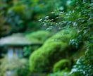 前世鑑定｜魂の記憶からあなたへの指針をお伝えます 過去の因縁を知り、今世をより良く生きるために イメージ6