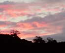 風景や花の写真を投稿します ずっと、見ていたくなったから皆さんに届けたい。 イメージ7