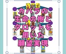 潜在意識を修復し、結婚・仕事の望みを具現化します 恋愛も仕事も人生も。叶わない原因を紐解き、願望実現を後押し。 イメージ1