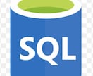 初心者向けSQLの勉強方法について相談に乗ります これからSQLを学習する人にオススメ イメージ1