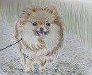 手描きで優しいペット似顔絵をお描きします 写真をもとに、やさしい雰囲気の似顔絵を描きます イメージ2