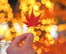 あなたの気持ちを聞きます 辛い時、悲しい時、嬉しい時、怒ってる時の気持ちを聞きます イメージ1