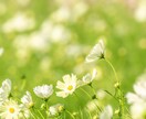 あなたはできる！大丈夫！全力で背中を押します お仕事/試験/筋トレ/趣味/家事/お風呂まで/超肯定で応援！ イメージ3