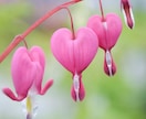 心の声♡無意識●怒り/抑圧/敵意/不満お聴きします こころの相談室❣️自己愛性パーソナリティ障害/いい人/二面性 イメージ7