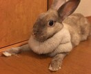 何かしらの悩みを持ち苦しんでいる方、励まします 誰に相談していいかわからない方 イメージ1