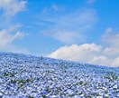 あなたの心にそっと寄り添うお悩み相談室ます ※画像10枚目に【ボイスサンプル】あります。 イメージ7