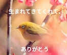 ひきこもり・生きづらさを抱えるあなたのお話聴きます 元当事者が聴くチャット相談【1日チャット・メッセージ無制限】 イメージ2