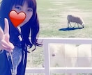 2日間ふたりっきりでゆっくり寄り添いお話聞きます ふたりだけの時間を共有させてください♡ワンコイン終了予定！ イメージ4