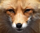 あなたの抱えるお悩み、本物の霊能力で一掃いたします 当たり障りのない鑑定で人生を停滞させるのはもうやめませんか？ イメージ1