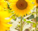 悩みから抜け出せない方の背中を押します ★★一緒に肩の力を抜きませんか？ イメージ1