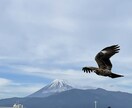 オラクルカードを引いてメッセージをお伝えします オラクルカードはに2枚引いて占います イメージ3