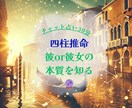 チャット鑑定30分/彼・彼女・上司同僚視ます 気になるあの人はどんな性質？取扱説明書お伝えします♡ イメージ1