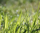 魂結び霊導鑑定で《使命と職の巡り》を霊視します キャリアUPや人間関係の悩みなど望む日々へ歩めるよう導きます イメージ10