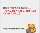 先着5名限定半額！職務経歴書を極限まで磨き上げます 元転職エージェント＆現役面接官が、職務経歴書を作成支援します イメージ10
