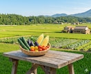 気持ちのモヤモヤを紐解き、「魂の声」を言語化します 「これでいいんだ！」と心から思える/迷いを確かな道しるべに イメージ6