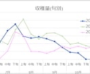 農家さん必見！収量をグラフ化するエクセル作成します 日々の収量を自動で集計。合計収量の集計やグラフ化が出来ます！ イメージ2