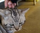 パニック障害で悩んでる方のお話を聞きます 元パニック障害患者が親身になって相談に乗ります イメージ1