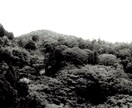 モノクロフィルム写真を撮ります モノクロフィルムで味のある写真を提供します。 イメージ3