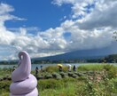 河口湖周辺の犬と行けるカフェの情報を提供します 河口湖で愛犬と過ごすカフェ時間をもっと安心で楽しいものに イメージ7