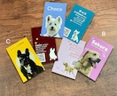 ペット名刺（PET NAME CARD）制作します セミオーダータイプ・50枚単位で注文可能！ イメージ1