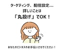Google広告の運用を代行いたします 【丸投げOK】戦略から運用まで一気通貫で伴走します イメージ3