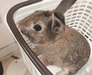 ポジティブになれるような言葉言います 誰にも言えない悩みありませんか？一緒に、解決しましょう！ イメージ1