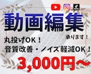 動画編集を格安で！音質改善も致します 諦めていた音声も改善！見やすく、聞きやすい動画に！ イメージ1