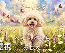 ペットの体・癖・言えない気持ちを深く霊視します オプションでヒーリングし整えます。 イメージ1