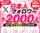 Twitter日本人フォロワー特別価格で増やします ツイッターで出来るだけ安く、信頼感を整えたいあなたへ イメージ10