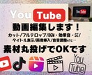 カット、文字入れなどして欲しい編集しますます 初なので任せにくいかもしれませんがよろしくお願いします イメージ1