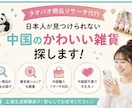 タオバオで面白い・安い商品を代わりに探し出します 上海9年の経験でコスパ商品をリサーチします イメージ3