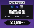 YoutubeやTIKTOK向け動画編集いたします 撮影した動画丸投げOKで編集いたします イメージ1