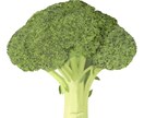 新鮮な野菜果物イラスト｜温かいタッチで制作します レシピ本・メニュー・パッケージ用食品イラストを制作します イメージ9
