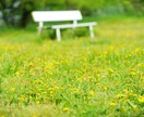 貴方の気になることなんでも占います 貴方が今気になっていることをなんでも3つ占わせていただきます イメージ1