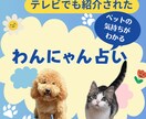 あなたのペットの気持ちをタロットカードで占います テレビでも紹介された「わんにゃん占い」ならわかるペットの心 イメージ1