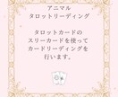 アニマルタロットカードリーディングをします カードを使って愛するわが子からのメッセージをお伝えします イメージ3