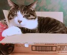 深夜にあなたとお話しします なんだか眠れないときに。ちょっとお話ししませんか？ イメージ1