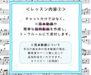 ピアノ・楽典のレッスンをオンラインで行います 動画やチャットで分かるまで丁寧に教えます。 イメージ4