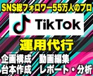 現役TikTokプロチームがアカウント運用します 運用実績250件以上のフォロワー55万人がバズらせる イメージ1