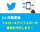 Twitterのフォロー&アンフォローを代行します 1日10～50フォロー、1ヶ月間実施します。 イメージ1