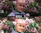 ROSA｜Lightroomプリセット販売します スマホで撮影した写真、ワンタッチで大変身！ イメージ8