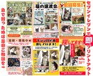 突然のペット迷子！でも大丈夫！迷子チラシ作ります 貼り紙をセブンイレブンで即印刷出来るよう手配致します! イメージ5