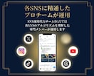 X（旧Twitter）を1ヶ月運用代行します 各SNSに強い総販売1,000件超の運用チーム イメージ2