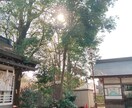 強力！縁結び祈願します 相性の鑑定書付き！お相手さんのいる方の縁結びの祈願をします。 イメージ2